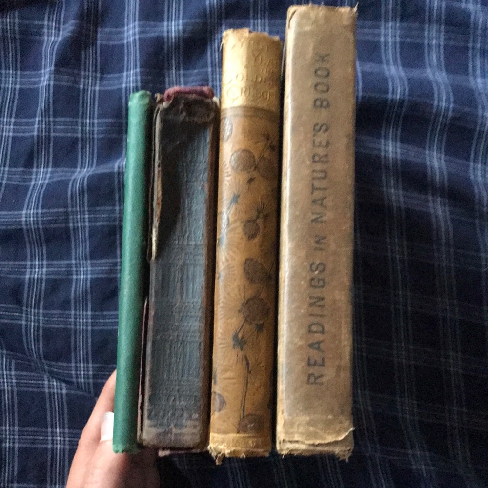 Bundle of books from the late 1800s!